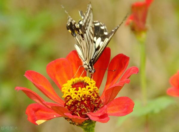 父母越老越&OpenCurlyDoubleQuote;薄情&rdquo;的背後，隱藏著他們內心多少難以言說的深情