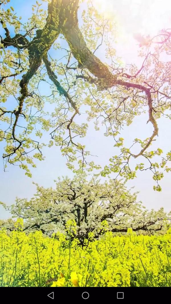 水調歌頭 -范成大 水調歌頭 -范成大