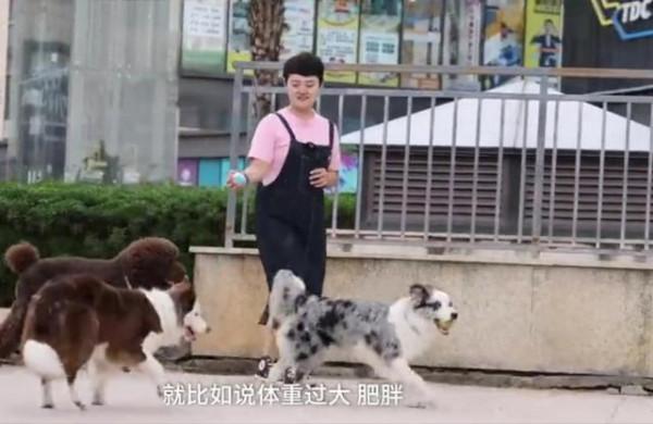 新職業“寵物營養師”：她幫3000多隻胖狗減肥成功