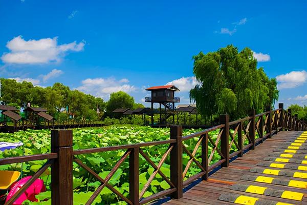 長三角這9條美麗鄉村休閒旅遊行（秋季）路線，你走過幾條？