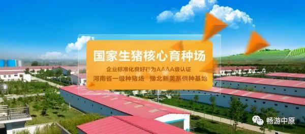 河南省誼發牧業｜砥礪前行，求新“牧”遠