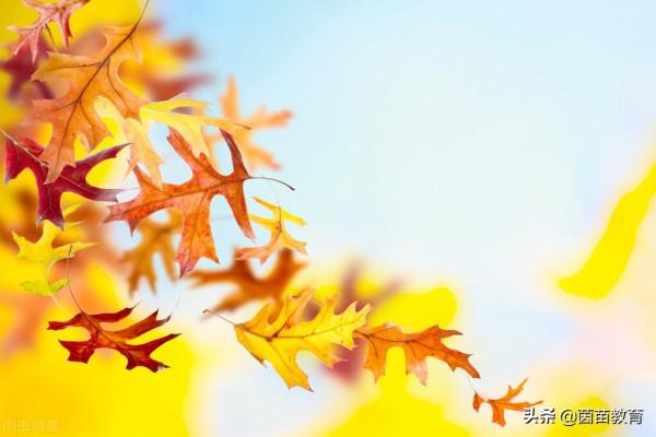 原來語文老師是這樣輔導自家孩子學習語文的