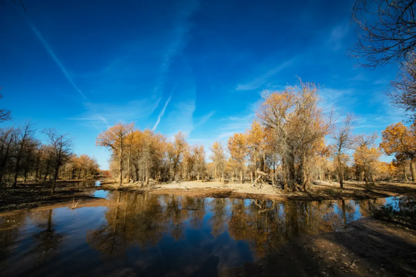 毫無懸念!今年最美的國內秋天,果然還是額濟納 毫無懸念!今年最美的國內秋天,果然還是額濟納