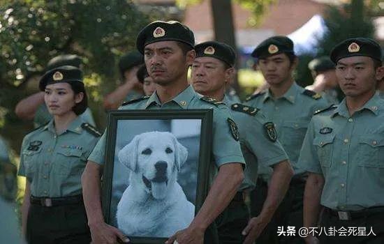 《王牌部隊》看不下去，回味這6部軍旅劇，《士兵突擊》永遠的神