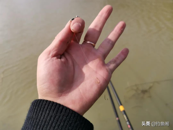 長竿釣鯽魚還真要點技術!老釣友幫你捋一捋,哪幾件事最重要 長竿釣鯽魚還真要點技術!老釣友幫你捋一捋,哪幾件事最重要