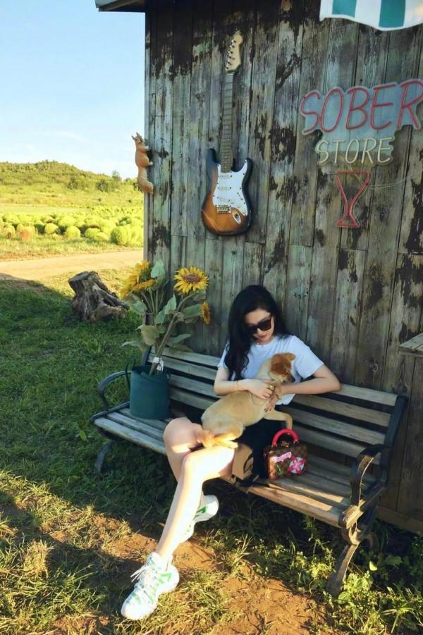 劉亦菲 | 神仙姐姐的假期 ​​​ 劉亦菲 | 神仙姐姐的假期 ​​​