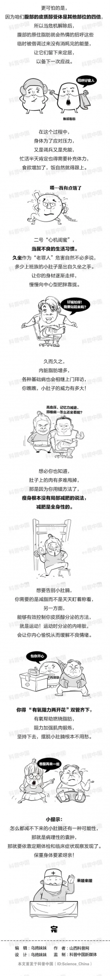 小肚子上的贅肉是怎麼形成的？如何能把它減掉？