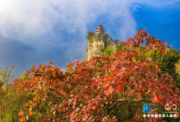 紅葉出雲海 重慶雲臺寺秋色美 紅葉出雲海 重慶雲臺寺秋色美