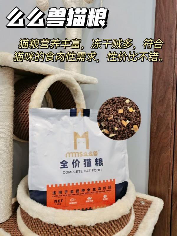 5年養貓經驗，手把手教你怎麼選貓糧