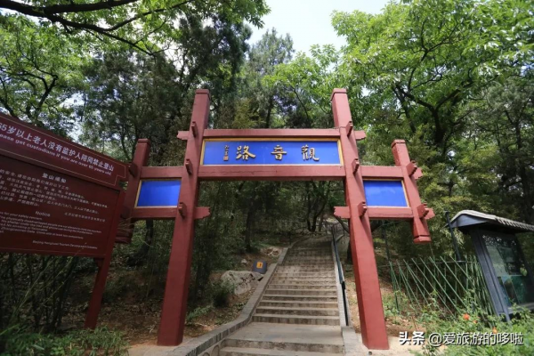 看展喝咖啡、賞壁畫、聽古樂…這座城市的寺廟也太厲害了吧