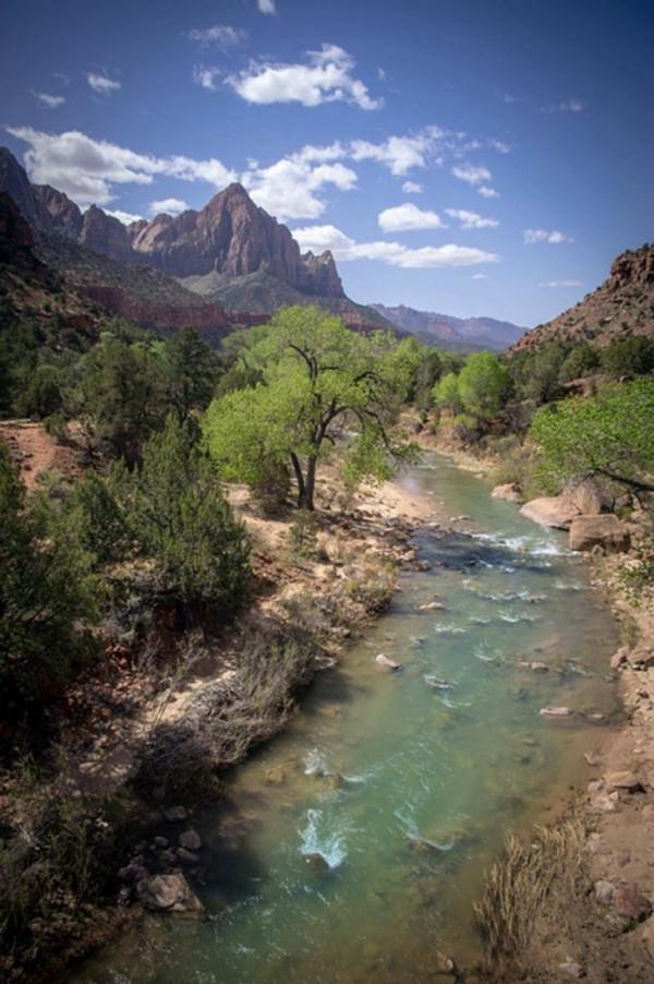 20 多張可以讓任何人驚歎的照片,“這不可能是真的!” 20 多張可以讓任何人驚歎的照片,“這不可能是真的!”