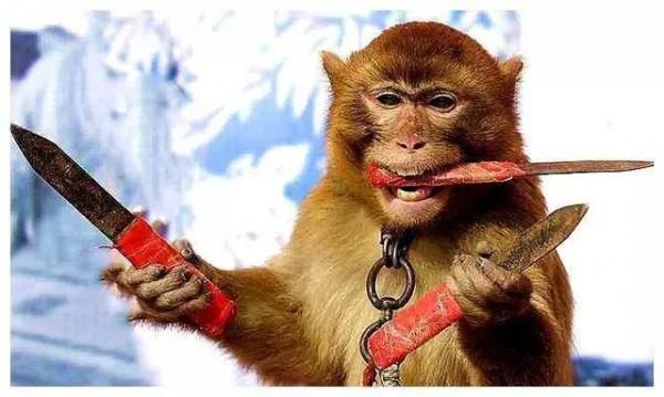 一隻愛思考的猴子(五) 一隻愛思考的猴子(五)