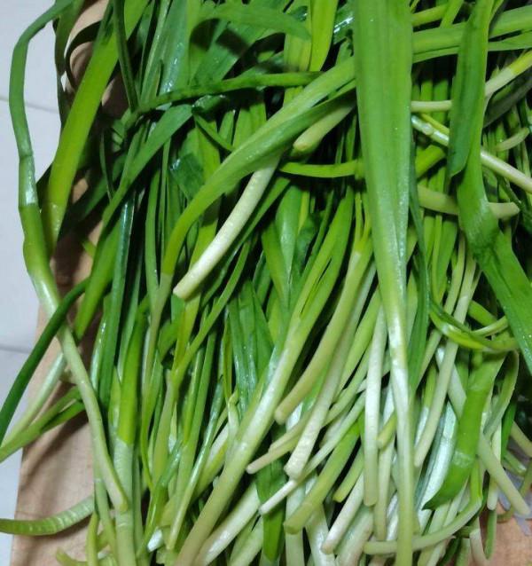 青未了｜媽媽教會了我手藝，也教會了我愛