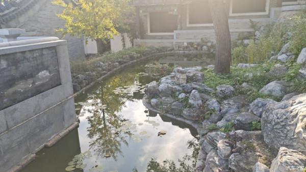 五百年盤龍古松.與秦Plus Dmi探訪千年幽幽古剎！