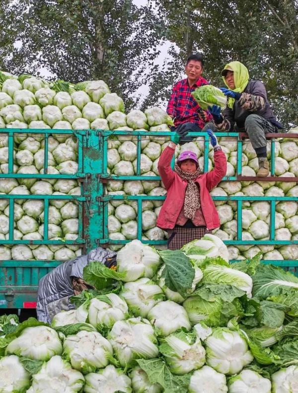 成年人玩得這麼野，小心把命都玩丟了