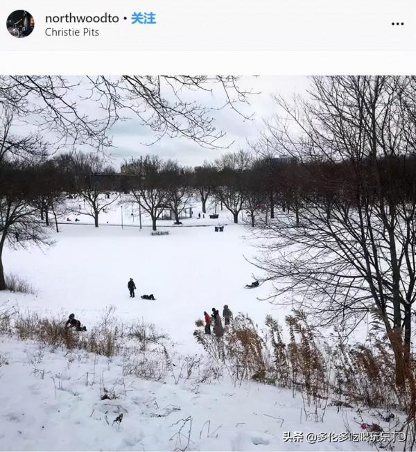 在家有點無聊 出門滑輪胎 來多倫多這幾個park就對了 在家有點無聊 出門滑輪胎 來多倫多這幾個park就對了