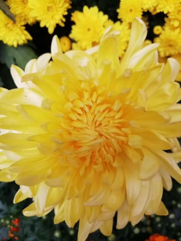 國慶古鎮遊 國慶古鎮遊