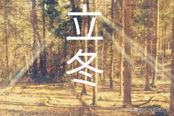 天氣預報:今日立冬,晴天有什麼說法?看看老祖宗留下來的農諺 天氣預報:今日立冬,晴天有什麼說法?看看老祖宗留下來的農諺
