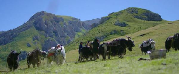 三江源國家公園：人與自然和諧共生