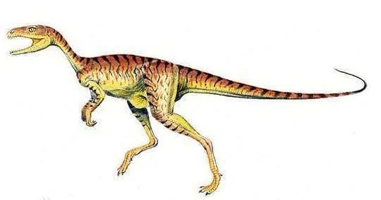 恐龍科普第3期：5種恐龍身上不為人知的秘密