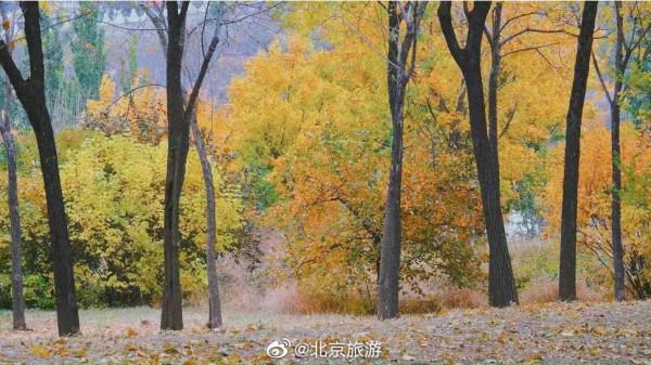 11月份“愛在深秋”,京郊這些人少景美的地方藏著秋天的愛 11月份“愛在深秋”,京郊這些人少景美的地方藏著秋天的愛