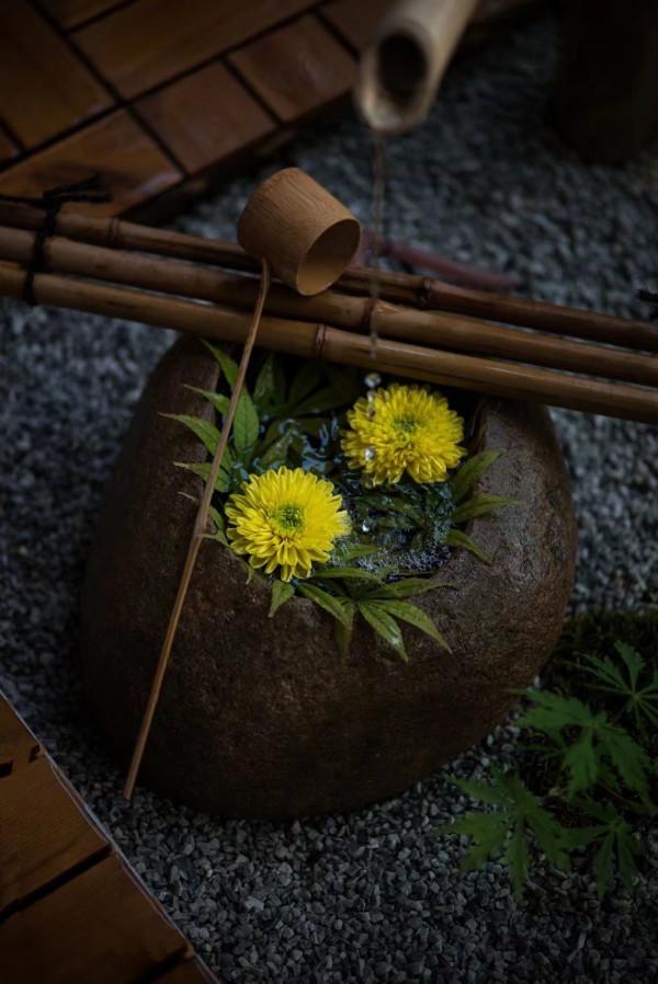 散文:秋光闌珊,人生不言滄桑 散文:秋光闌珊,人生不言滄桑