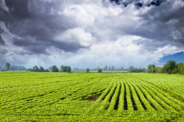 農商銀行的困境與突圍