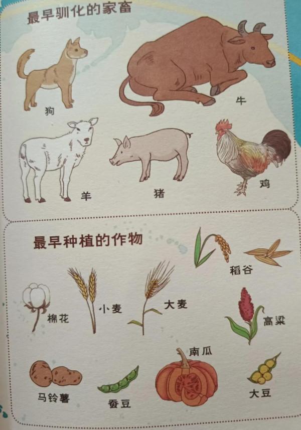 我們與世界讀書筆記