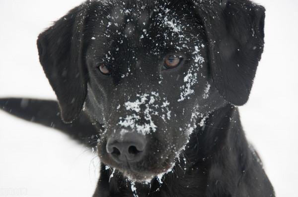 英國的華為間諜？聊聊我所歷經的企業內監控與防範