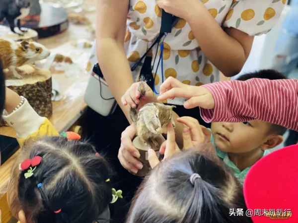 親子打卡!科學探索,細菌好有趣啊,參觀1000+件標本 親子打卡!科學探索,細菌好有趣啊,參觀1000+件標本
