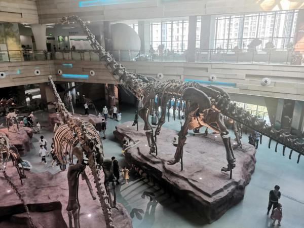 億萬年前的繁榮 億萬年前的繁榮