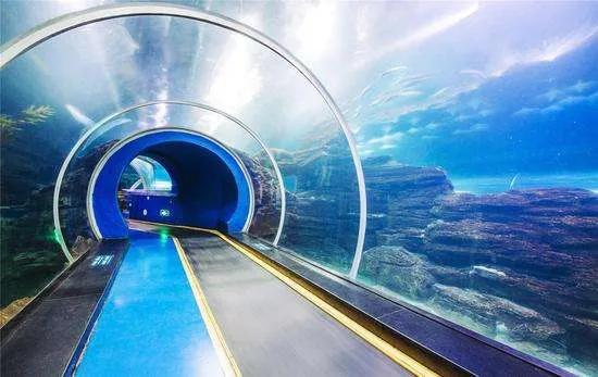 北京遊客穿羽絨服開敞篷車，去青島看透明的海底隧道？是個好建議