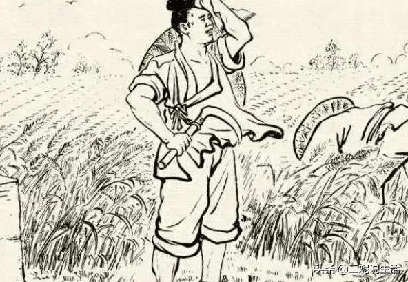 民間故事：呆傻小夥救下山龜，母親下葬時，山龜說：不能埋