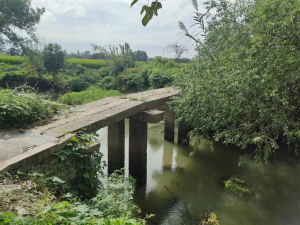 行走萬石看古橋 行走萬石看古橋