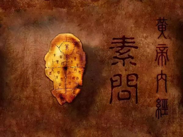 十全大補丸到底補什麼? 十全大補丸到底補什麼?