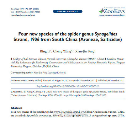 雲南無量山發現蜘蛛新種“寬合跳蛛”