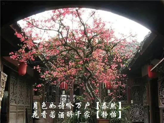 楹聯辭賦圖文集（二十二）