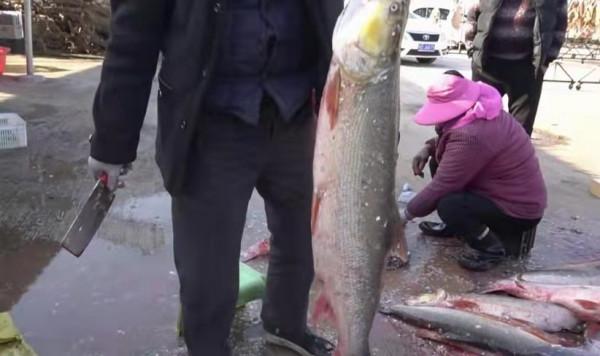 安徽大哥賣鹹肉年收入達6000萬，一天用掉5噸鹽，號稱最牛小作坊