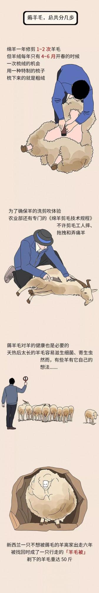 羊絨大衣怎麼買？