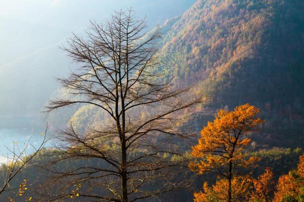 堵車、堵車、堵車，這個古村憑什麼讓遊客步行三公里入村？