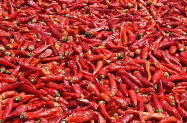 1943年，日軍掃蕩時發現一桌餃子，剛吃兩個就落荒而逃，咋回事？