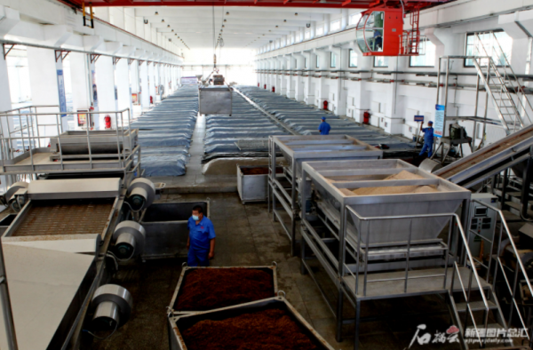 伊力特走上“二次創業”路 釀出“科技”美酒 伊力特走上“二次創業”路 釀出“科技”美酒