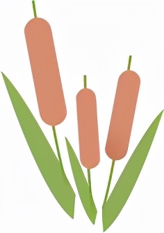 河南特色美食篇 河南特色美食篇