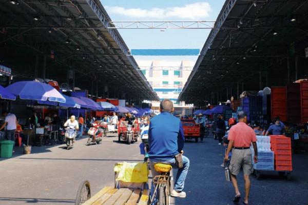 在這裡我毫不焦慮，還實現了水果自由