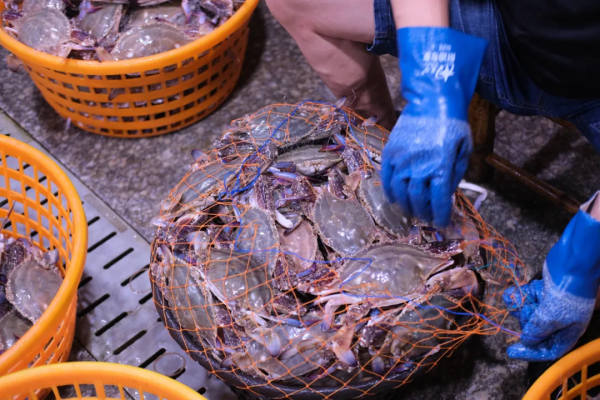 江浙滬合集｜杭州3小時高鐵圈能去哪些城市？