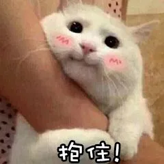 當初瞎跟風，買的這4款“網紅廚具”，多是雞肋，燒錢還不實用