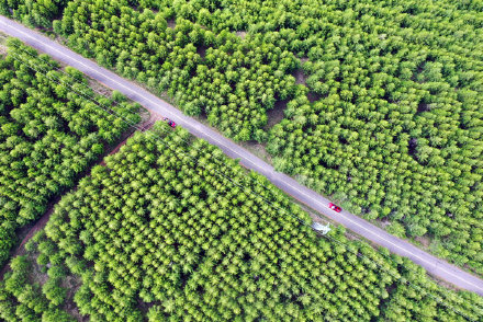 河北張家口:六月的草原天路 河北張家口:六月的草原天路