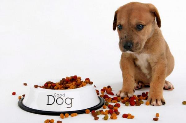 狗每天吃狗糧的數量，根本就沒有具體標準，要根據實際情況確定