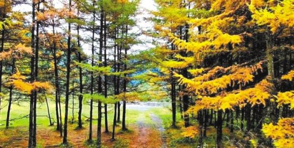 平涼崆峒山 天水麥積山 臨夏松鳴巖 秀山俊嶺 賞紅葉觀雲海聽松濤 平涼崆峒山 天水麥積山 臨夏松鳴巖 秀山俊嶺 賞紅葉觀雲海聽松濤