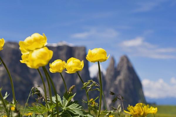 醫案分享&vert;&vert;查出乳腺結節千萬別急著做手術，予你一劑良方擊碎腫塊